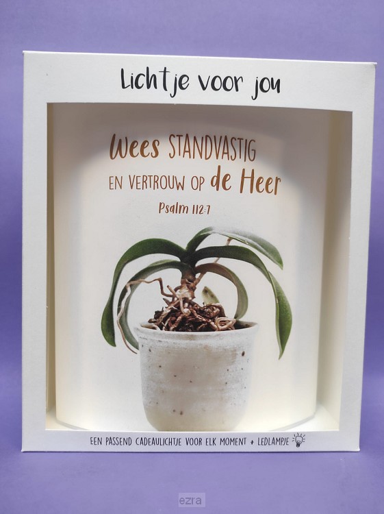 Wees standvastig en vertrouw