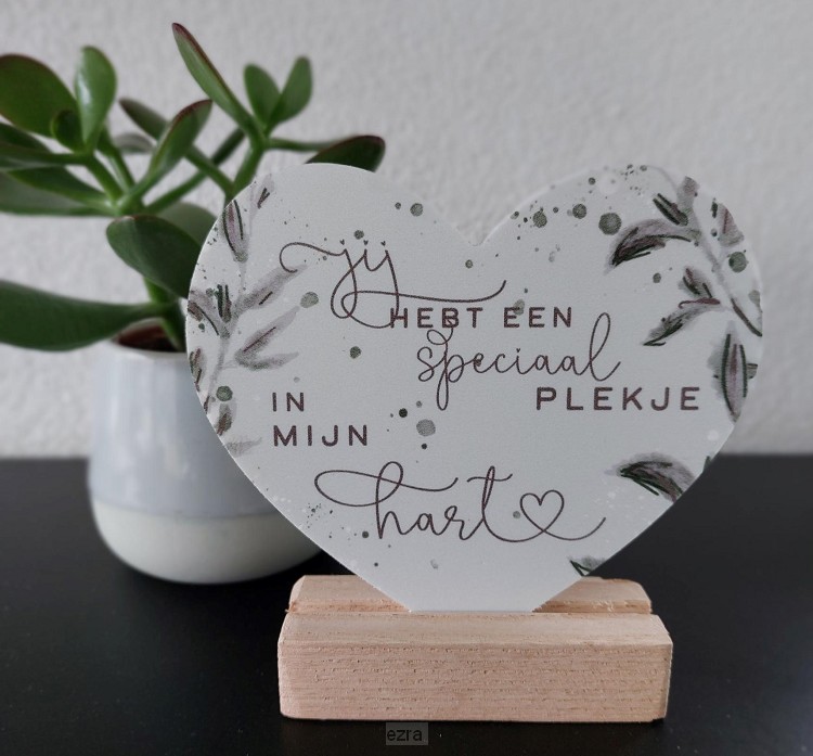 Hart voor jou: Jij hebt een speciaal ple