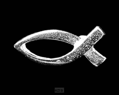 Reverpin zilver vis 14mm