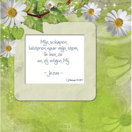 Choice kaartje mijn schapen luisteren