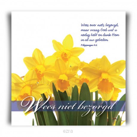 Choice kaartje wees niet bezorgd