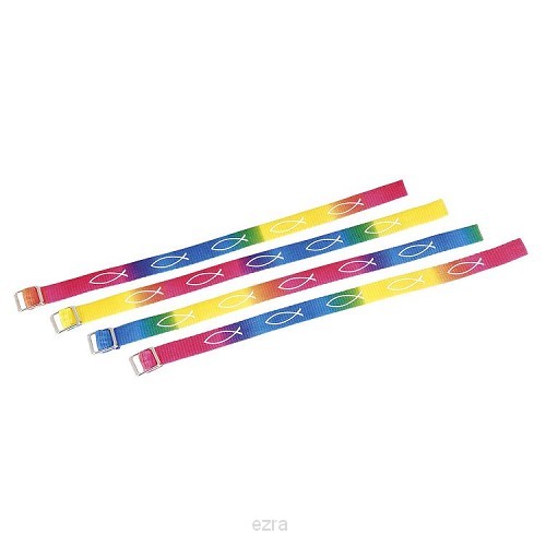 Geweven armband vissen regenboog