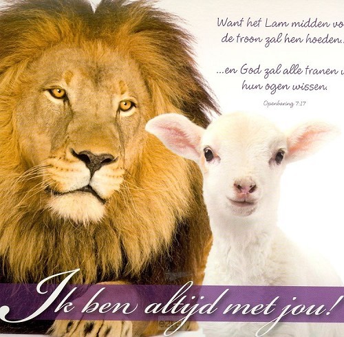 Prentbriefkaart Ik ben altijd met je