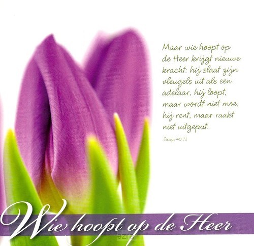 Wenskaart wie hoopt op de Heer