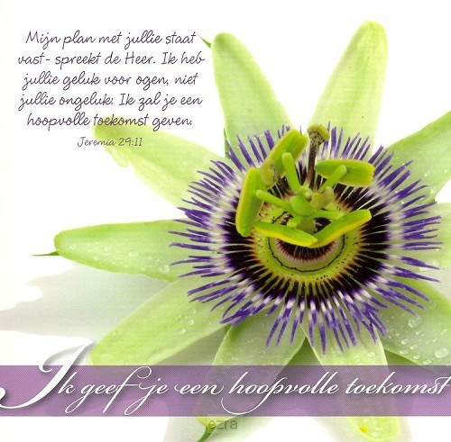 Wenskaart Ik geef je een hoopvolle...