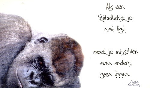 Minikaart als een bijbeltekst je niet li