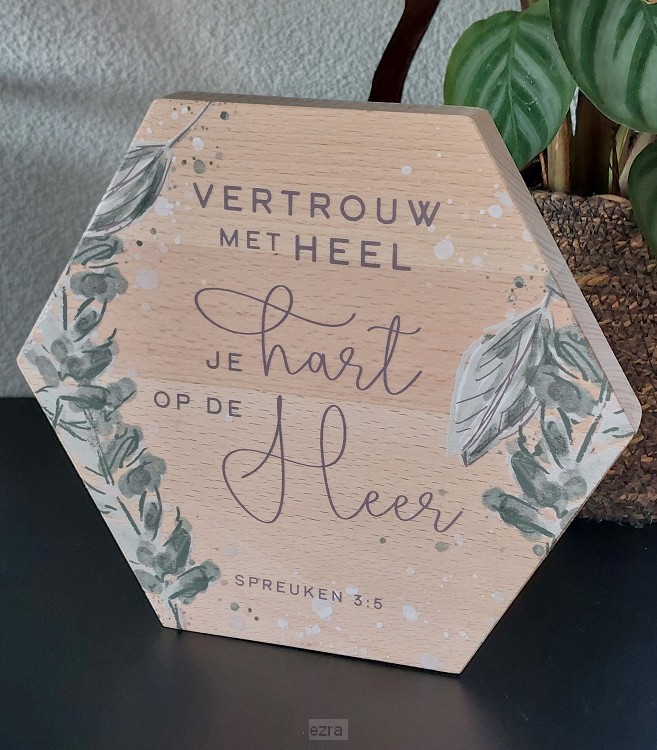 Vertrouw met heel je hart op de Heer