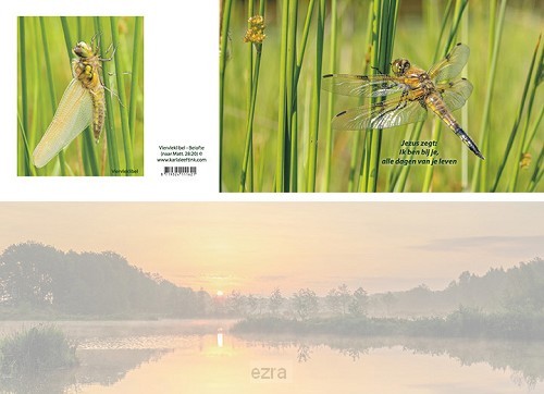 Panoramawenskaart viervleklibel - beloft