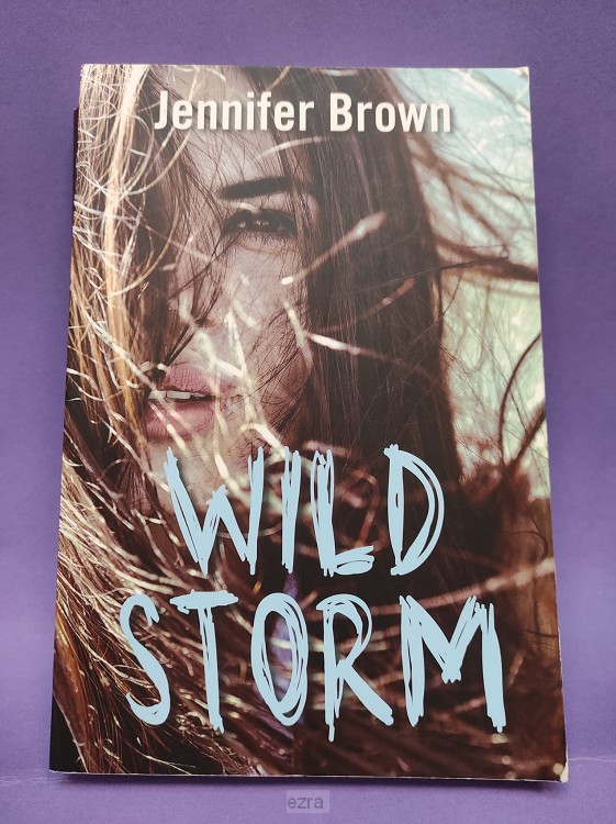 Wild storm [2dehands]