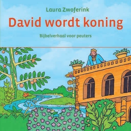 David wordt koning kartonboekje