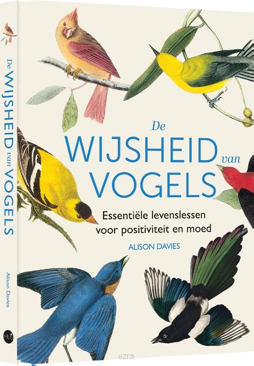 Wijsheid van vogels