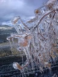 Duizend jaar 7 weer wind in lage landen
