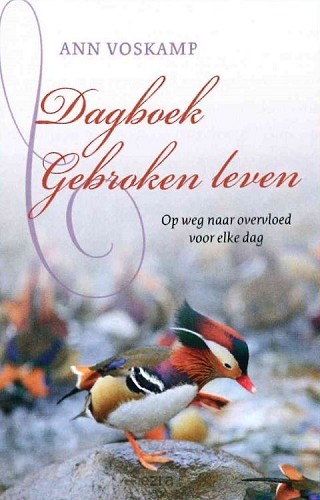 Dagboek gebroken leven