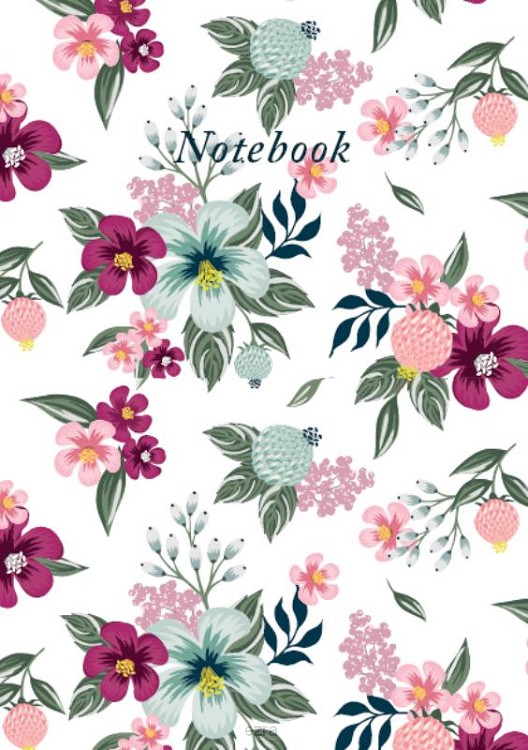 Notebook aster