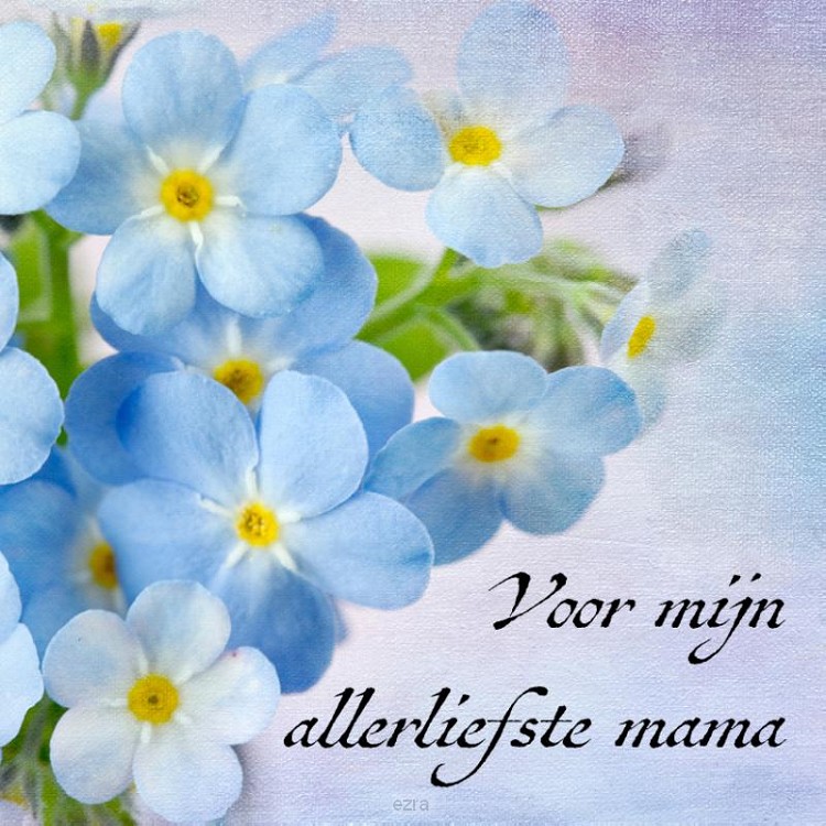 Notitieboek louise allerliefste mama