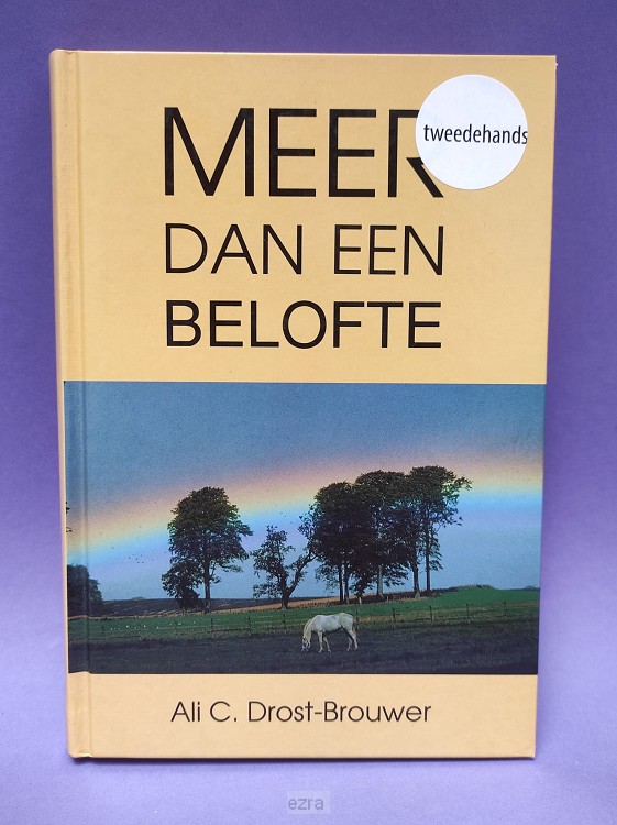Meer dan een belofte [2dehands]