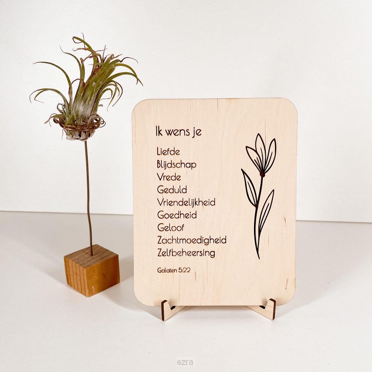 Houten kaart 12x16 - Ik wens je