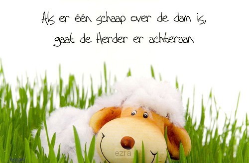 Prentbriefkaart als er een schaap over d
