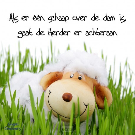 Choice kaartje als er een schaap over de