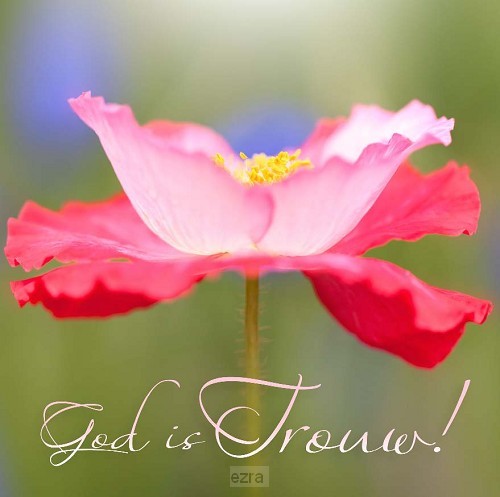 Kaart m env God is trouw