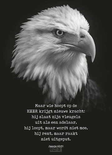 Metal deco wie hoopt op de Heer