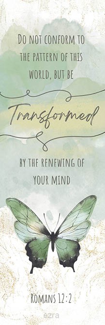 Boekenlegger Transformed