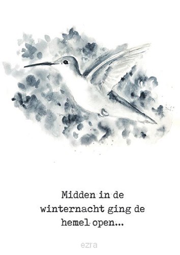 Midden in de winternacht vogel