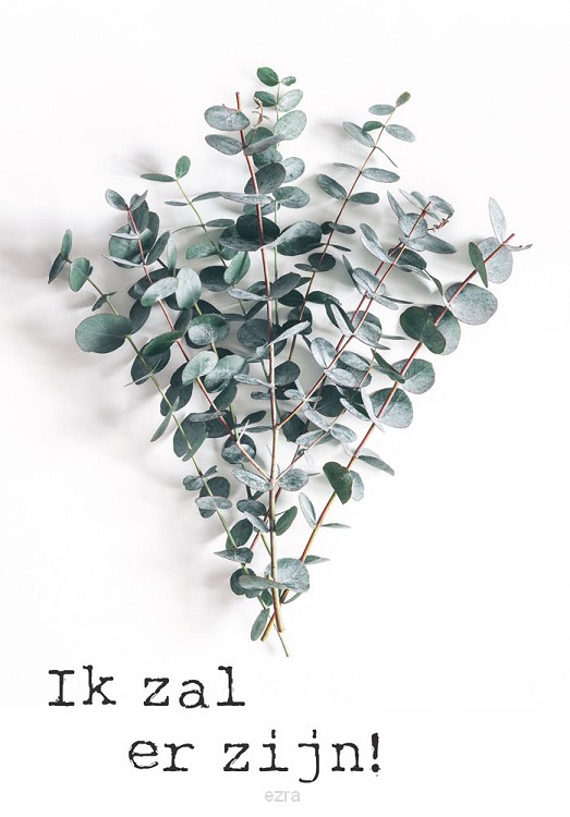 Poster 50x70 ik zal er zijn