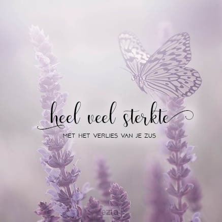 Kaart sterkte verlies zus SV