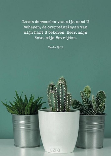 Laten de woorden van mijn mond*