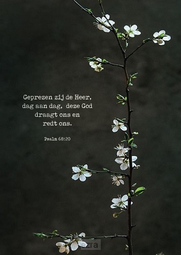 Geprezen zij de Heer*
