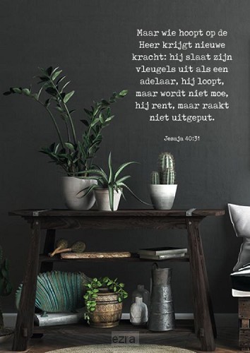 Wie hoopt op de Heer*