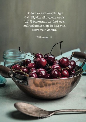 Hij zal dit goede werk voltooien*