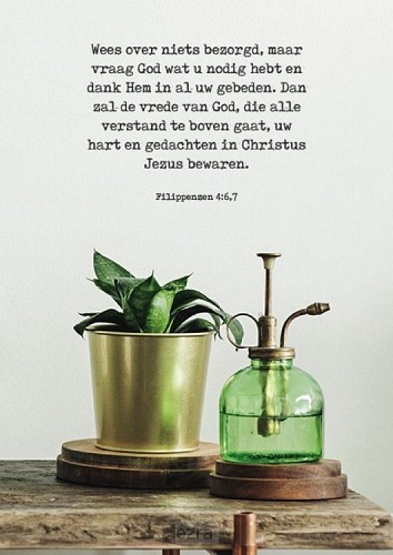 Wees over niets bezorgd*