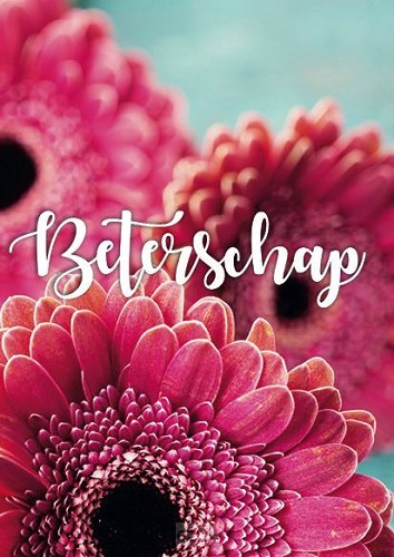 Kaart beterschap   rose bloemen