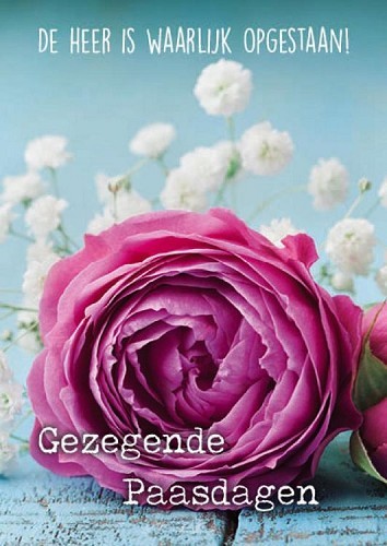 Paaskaart gezegende paasdagen bloem rose