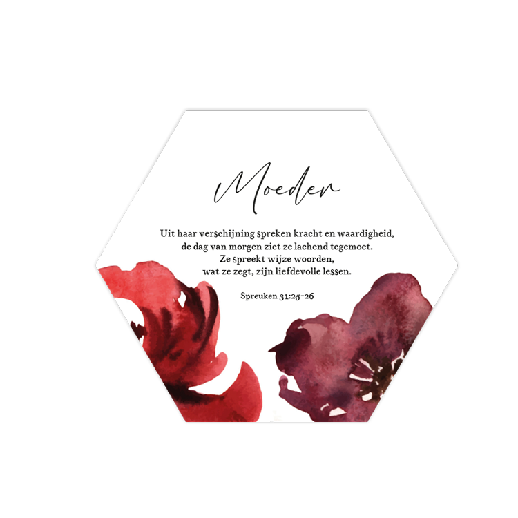 Hexagon moeder - spreuken 31*