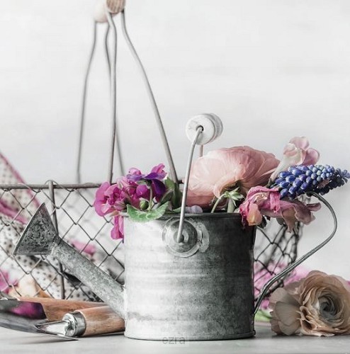 Kaart gieter bloemen roze