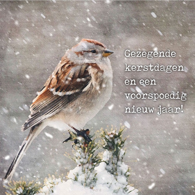 Minikerstkaart mus in sneeuw