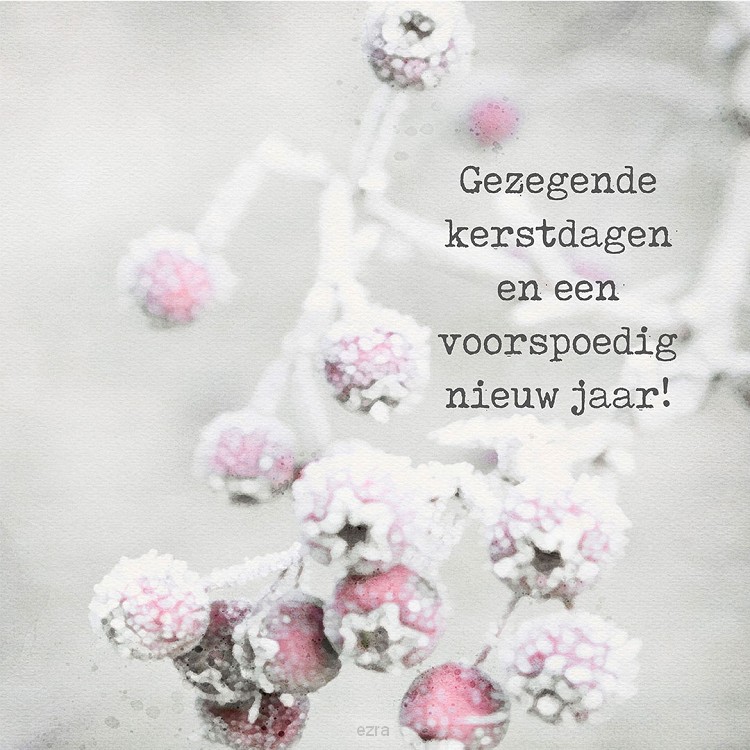 Minikerstkaart besneeuwde besjes