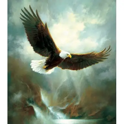 Jigsaw Puzzle 300pcs Eagle Flight 53,3x6