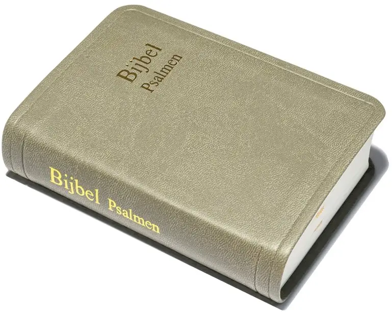 Zakbijbel D31RTP Taupe kunstleer