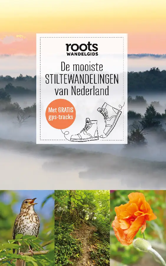 Mooiste stiltewandelingen van Nederland