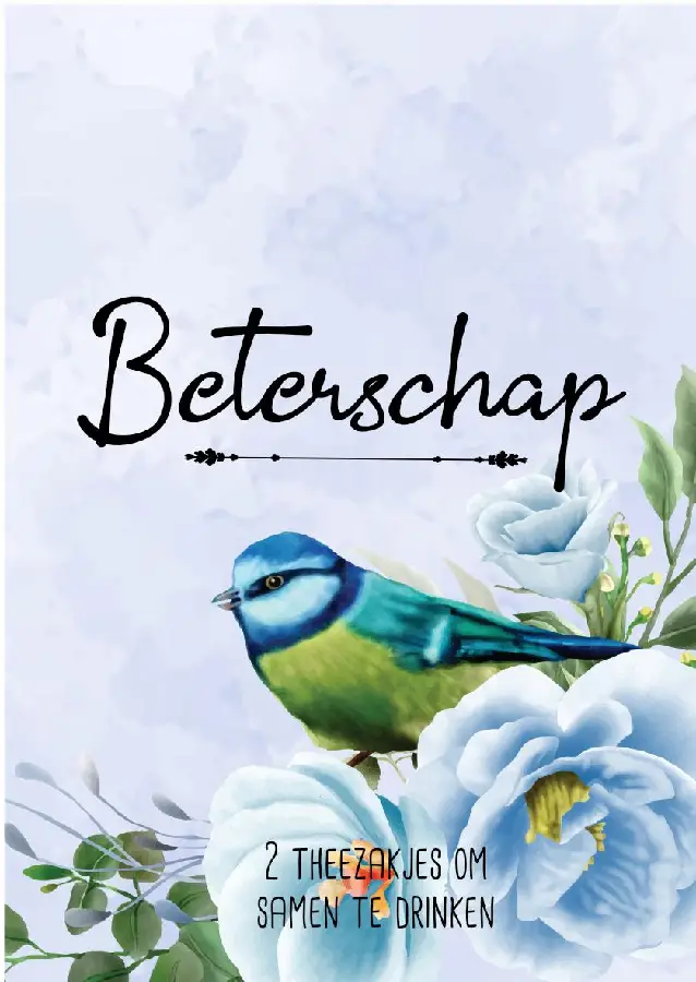 Beterschap theedoosje teagift