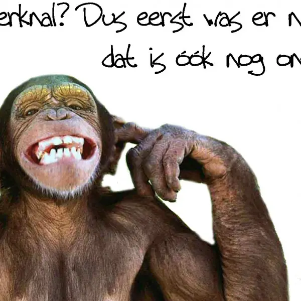 Choice kaartje oerknal?