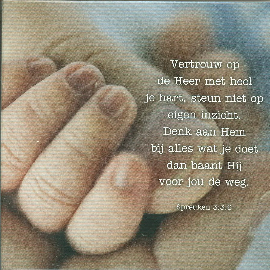 Kaart vertrouw op de Heer