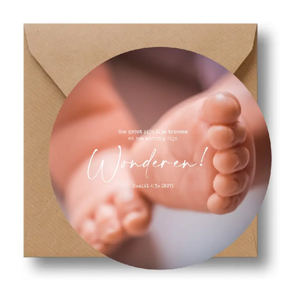 Cirkelcadeau ijsvogel