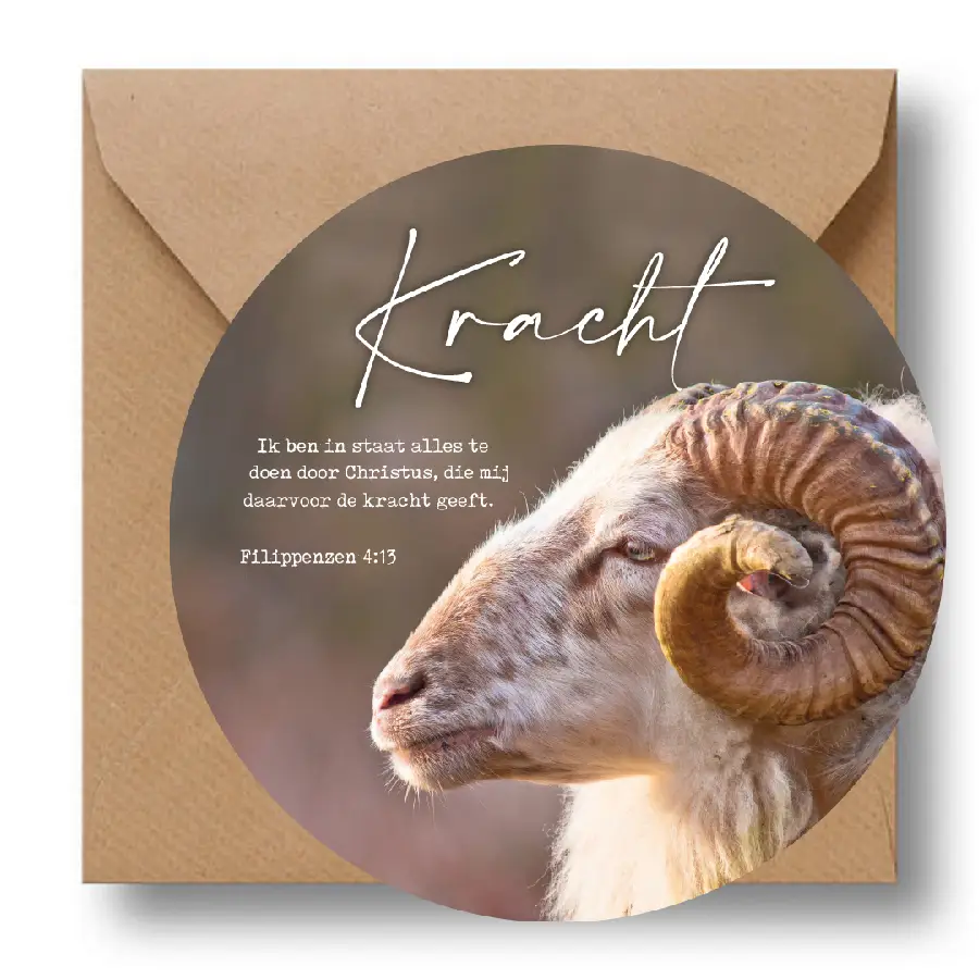 Cirkelcadeau kracht bok