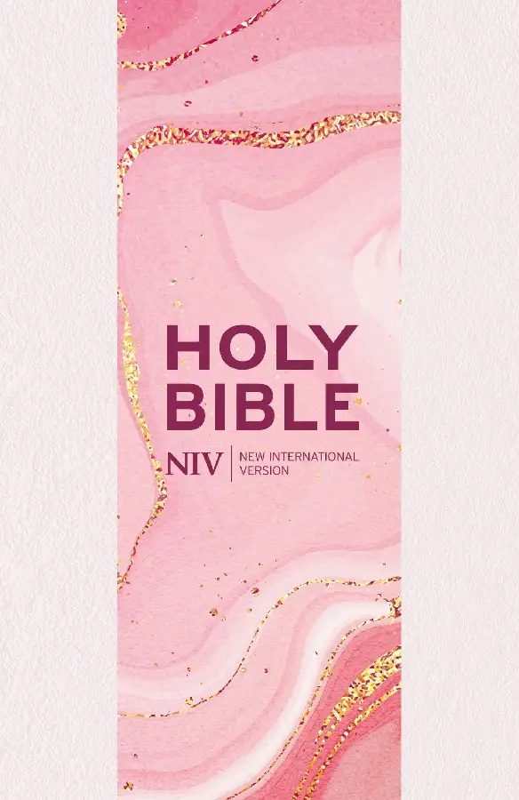 NIV Larger Print Bible