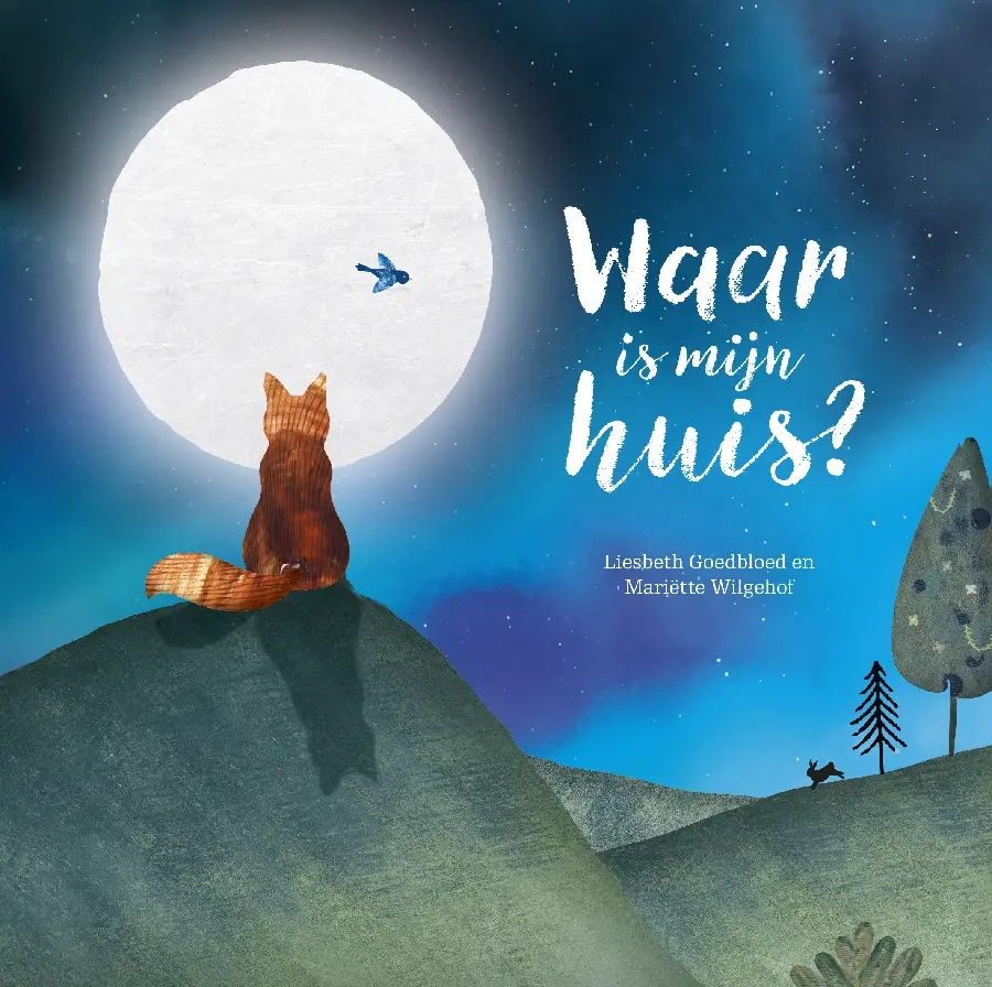 Waar is mijn huis